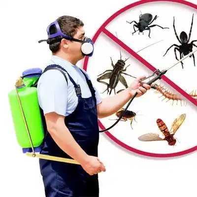 pest control Itta Bena